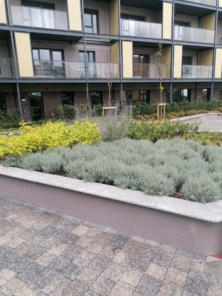 A modern apartment complex with a landscaped garden and a brick sidewalk